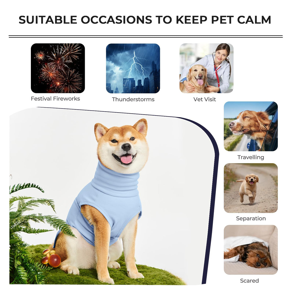 Haloumoning Pet Apparel in X-Small, Sky Blue