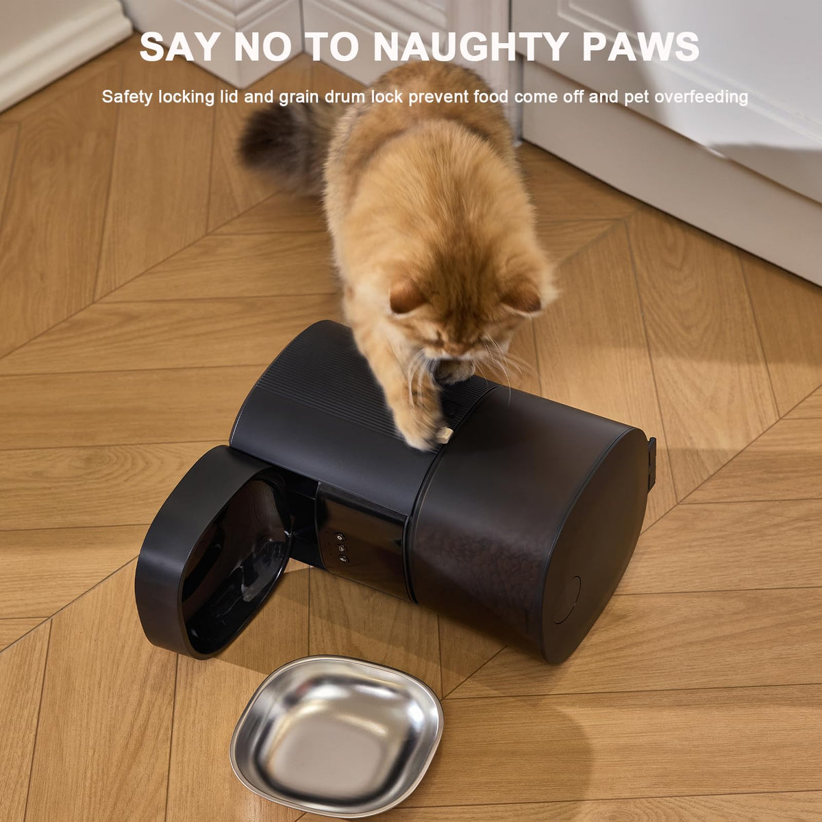 MZZ Pet Feeder in Black