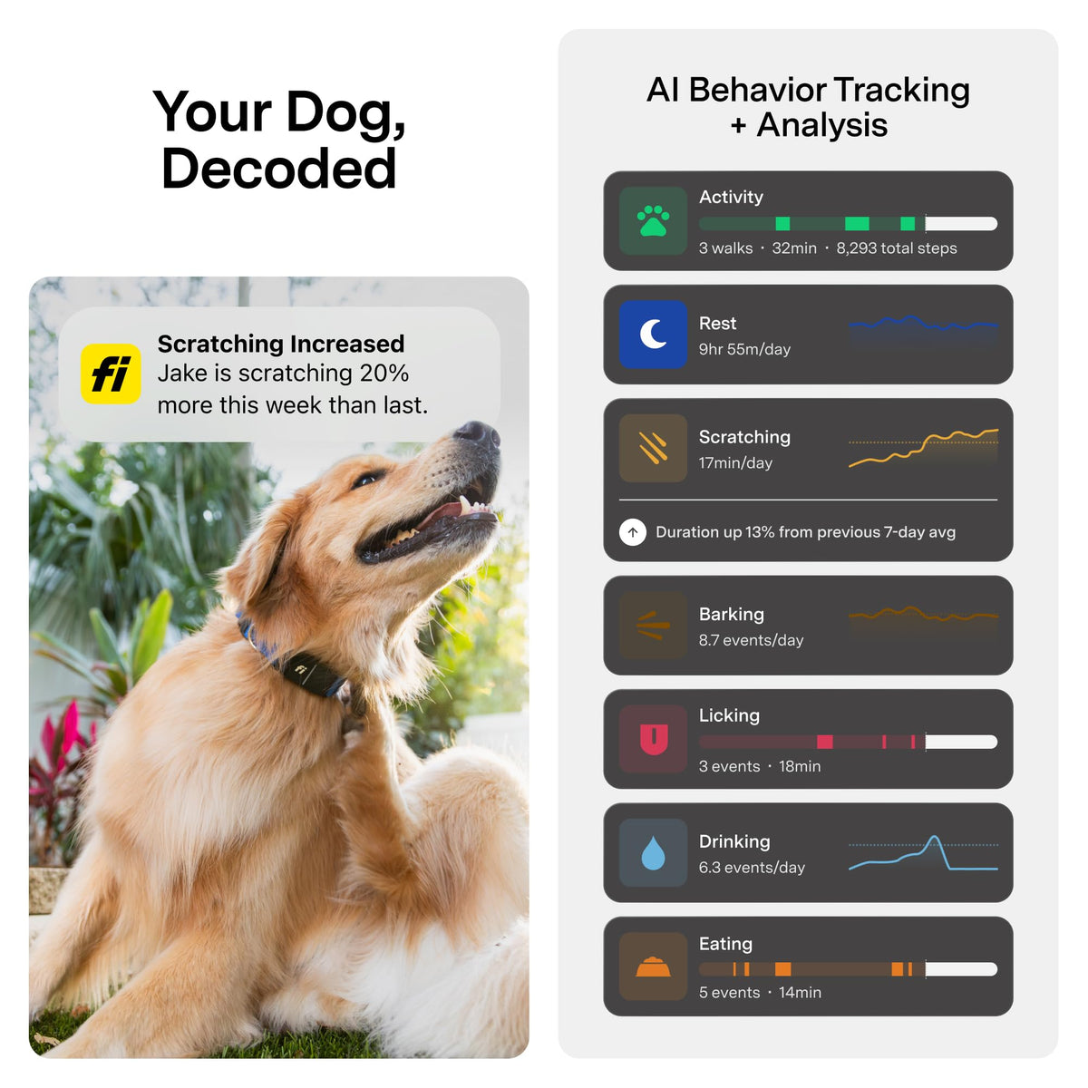 Fi Location Tracker in Small, Blue