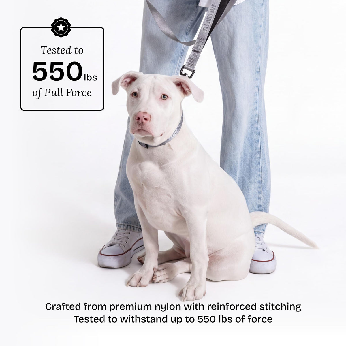 Fei and Eve Leash in 4FT, Twilight Gray
