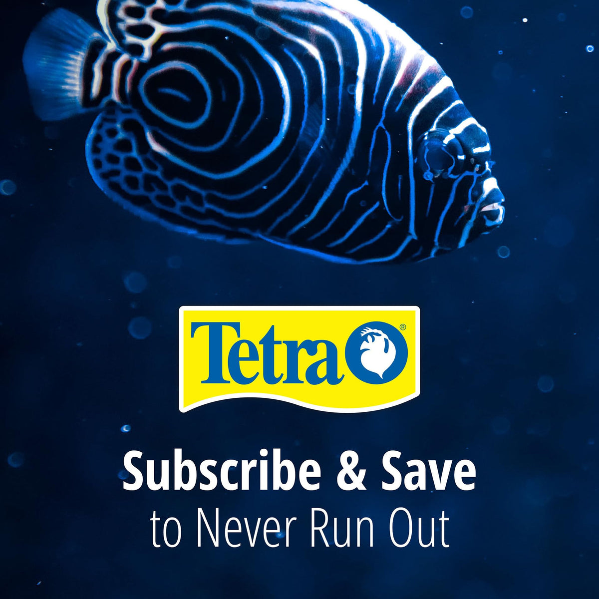 Tetra Aquarium Pond Water Treatment in 12 Count