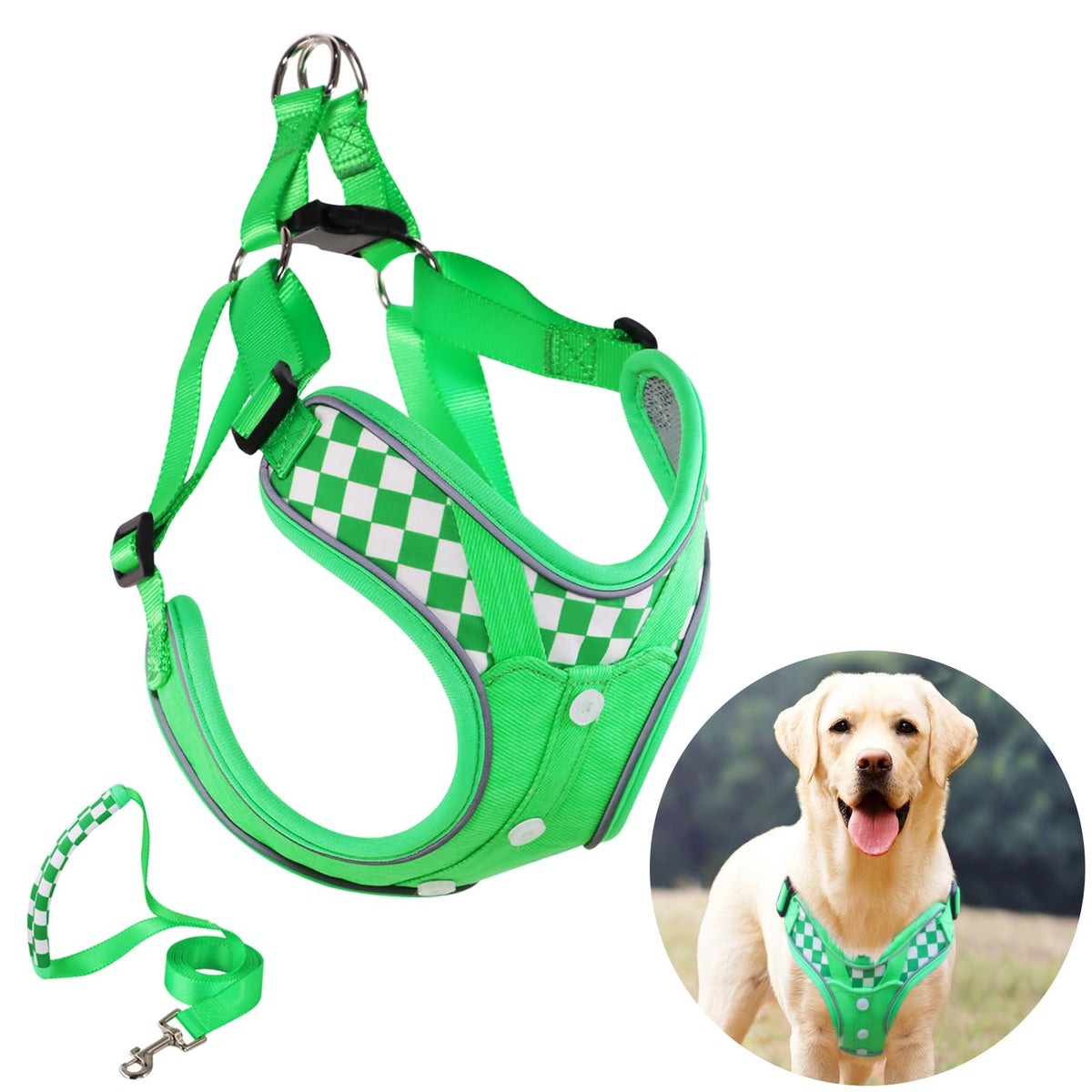 SAEGYPET Animal Harness in L, Green (denim)