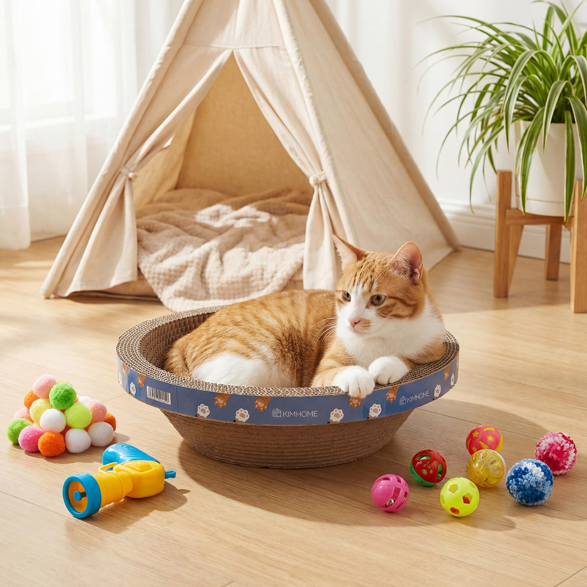 Zopeal Pet Activity Structure in Bowl Shape