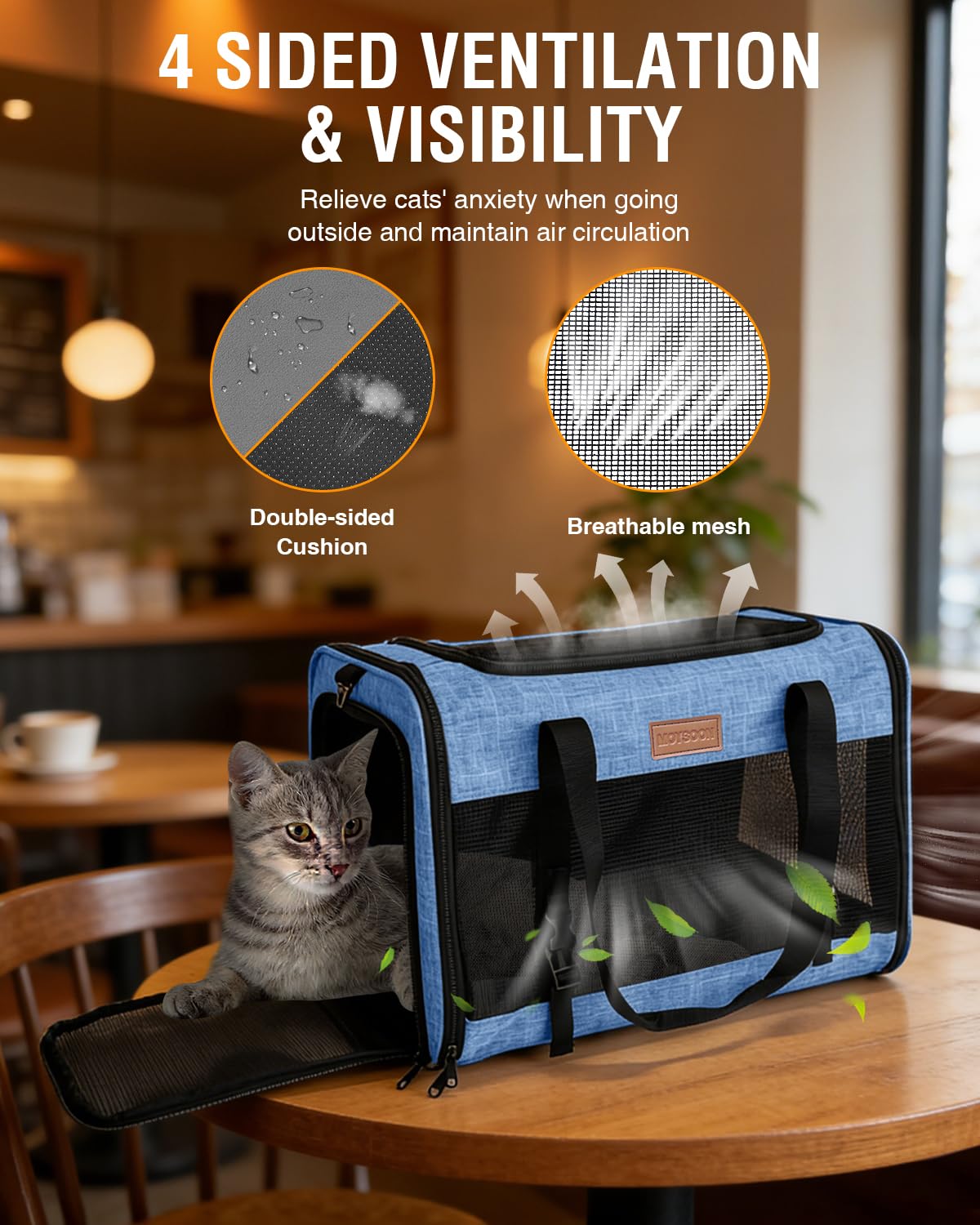 Petux Animal Carrier in 20.0"L x 13.0"W x 13.0"H, Blue