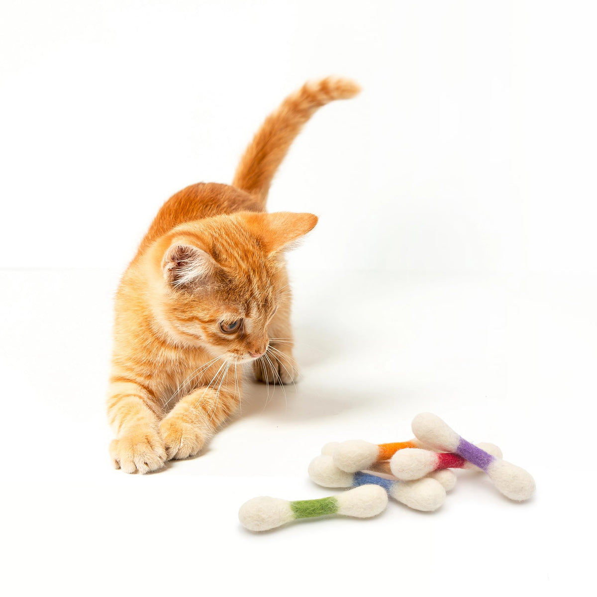 Glaciart One Pet Toy in Mini, Colorful Swabs