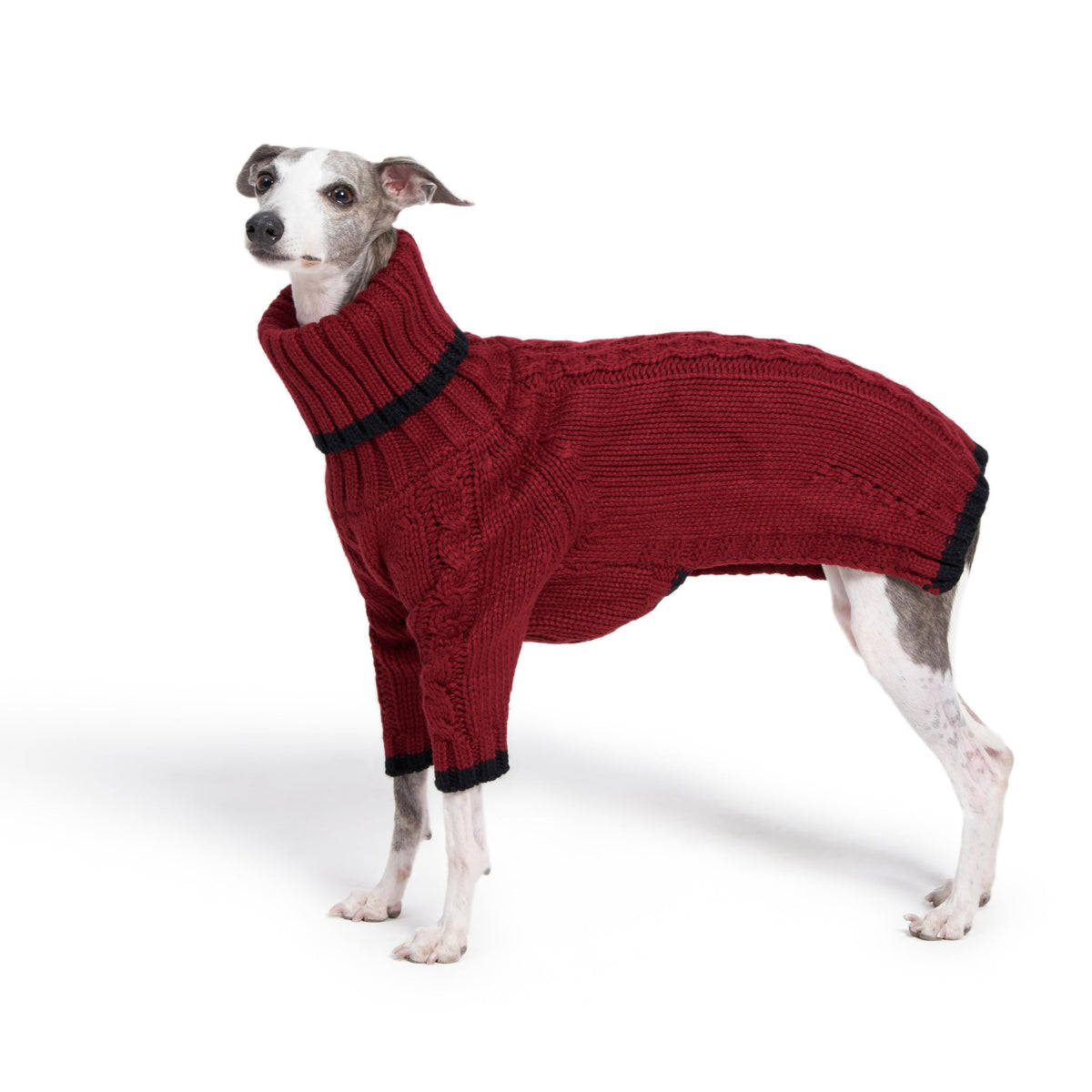 ESCCBOO Pet Apparel in Small, Red
