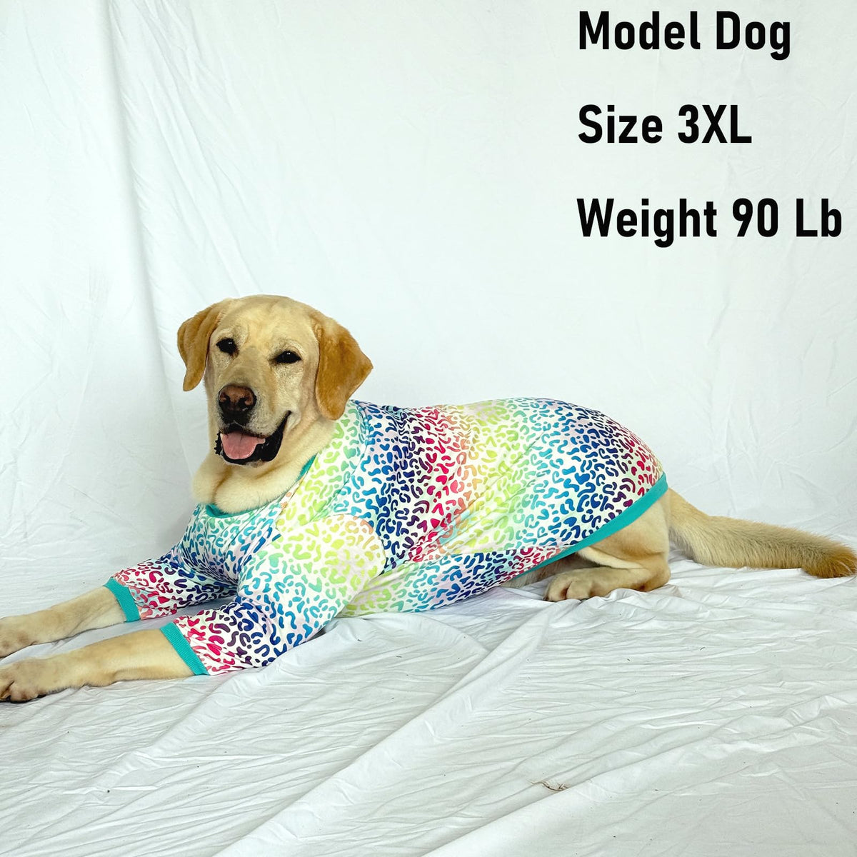 PriPre Pet Apparel in Medium, Leopard