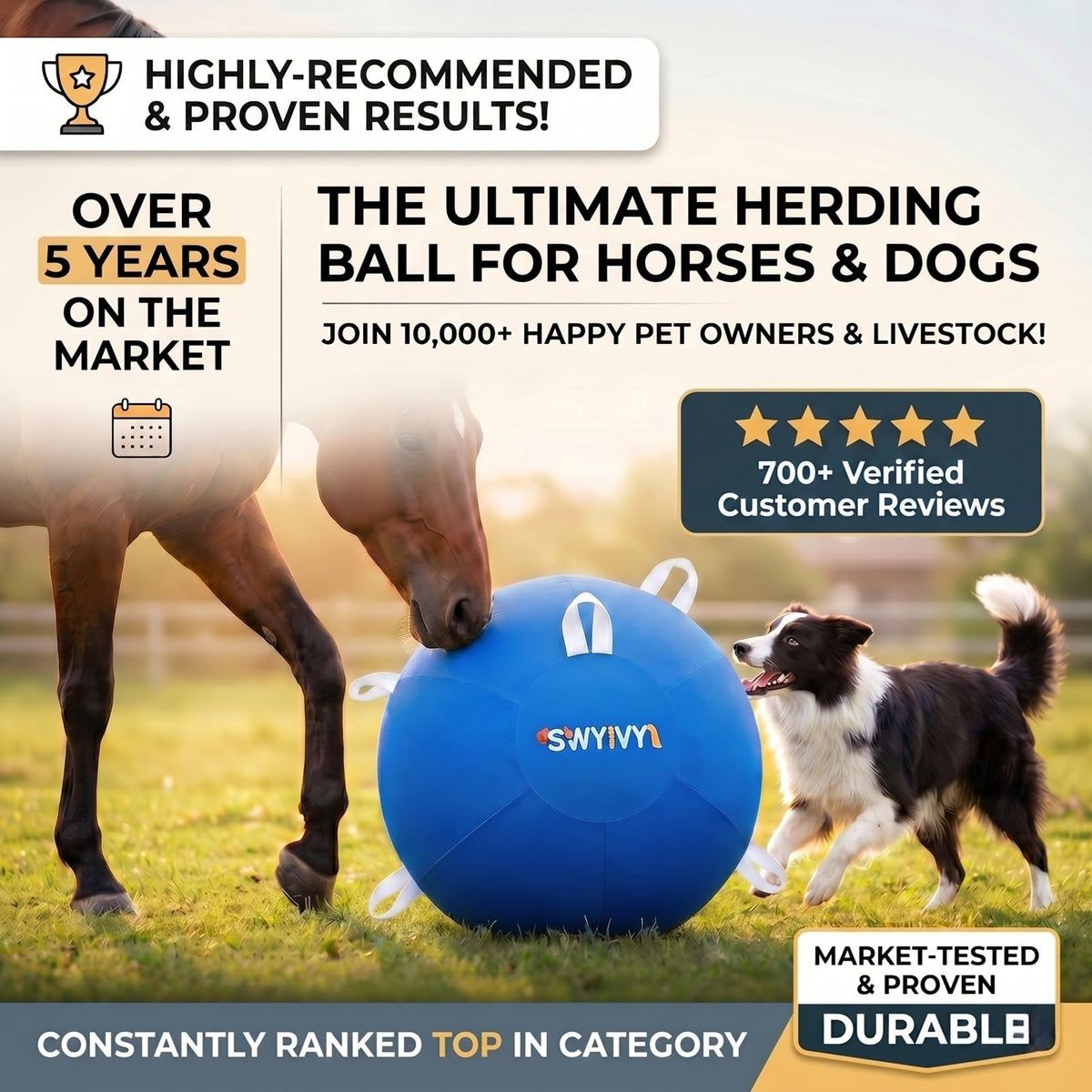 SWYIVY Recreation Ball in 25 Inch, Blue with Cover