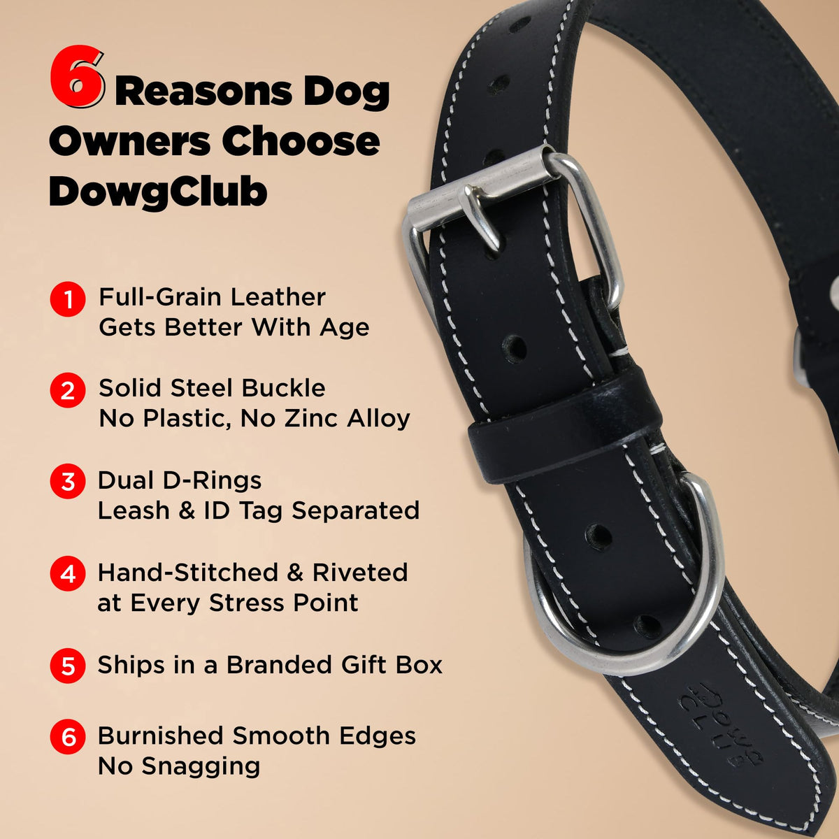 DowgClub Animal Collar in S (11"-14"), Rich Black