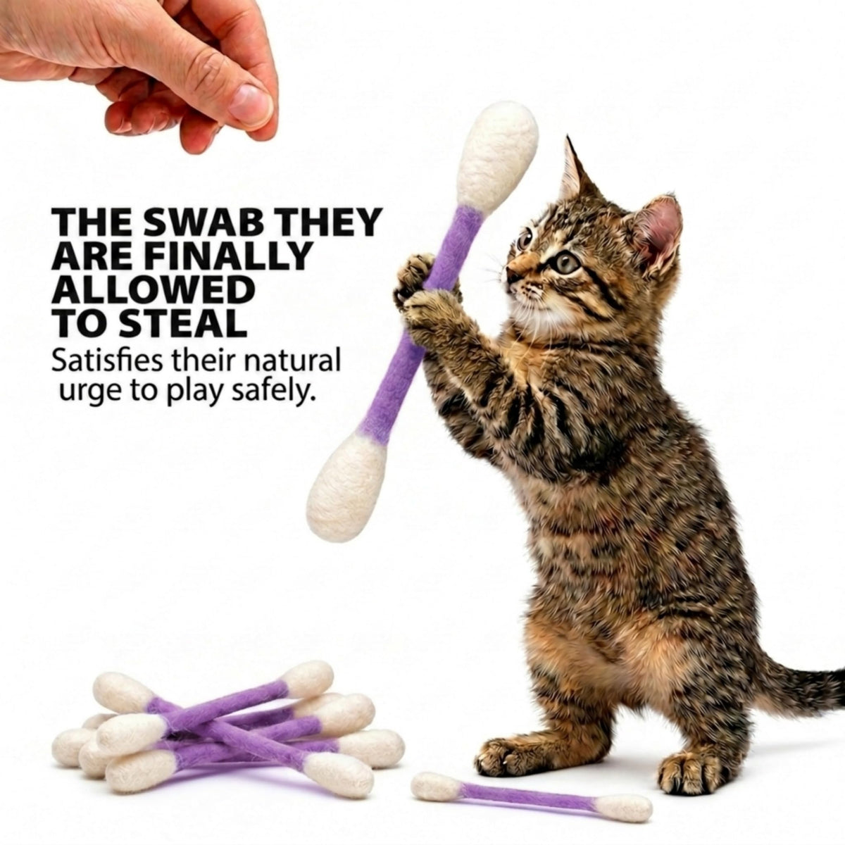 Glaciart One Pet Toy in Regular, Purple Swabs