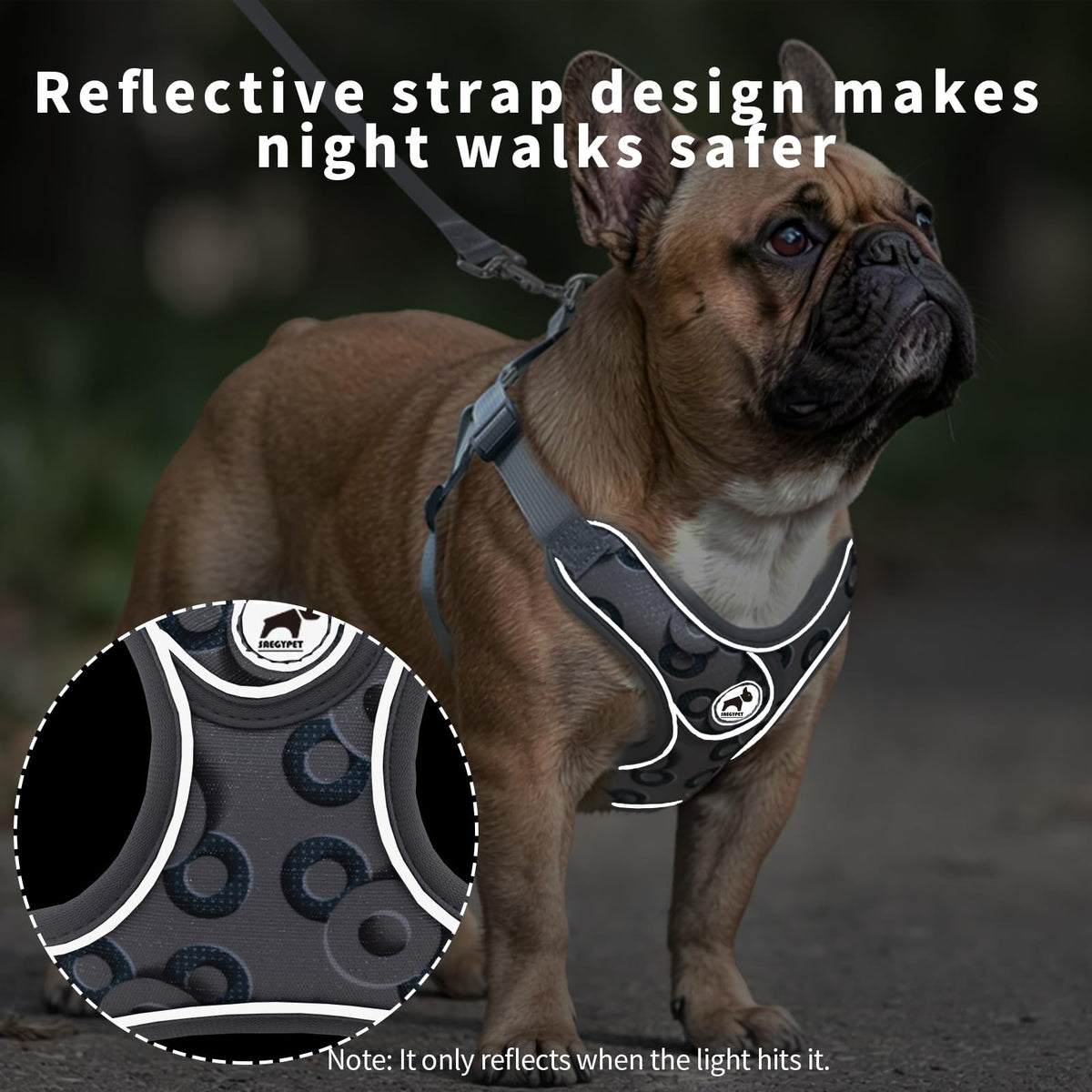 SAEGYPET Animal Harness in XS, Gray-2