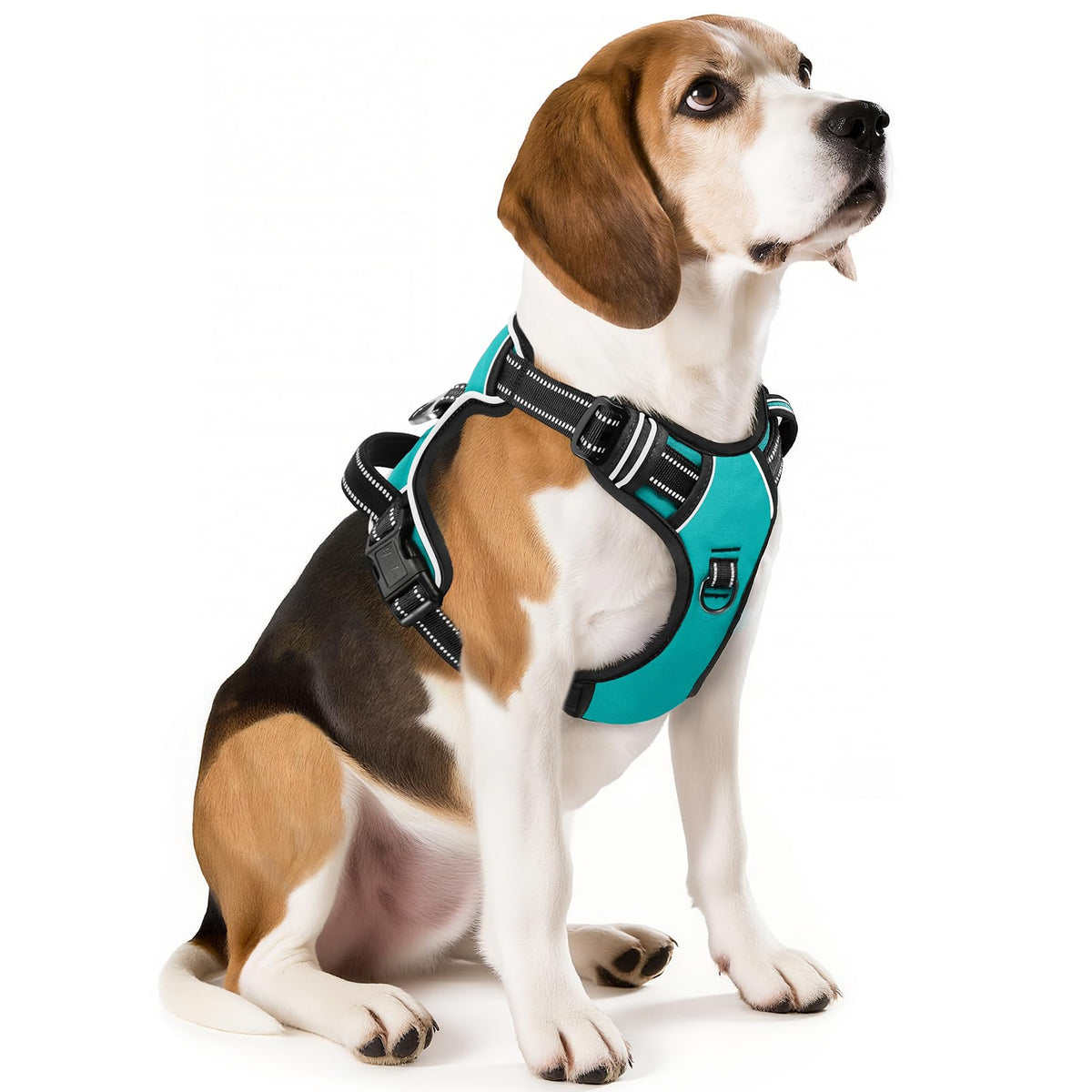 HEELE Animal Harness in M, Turquoise