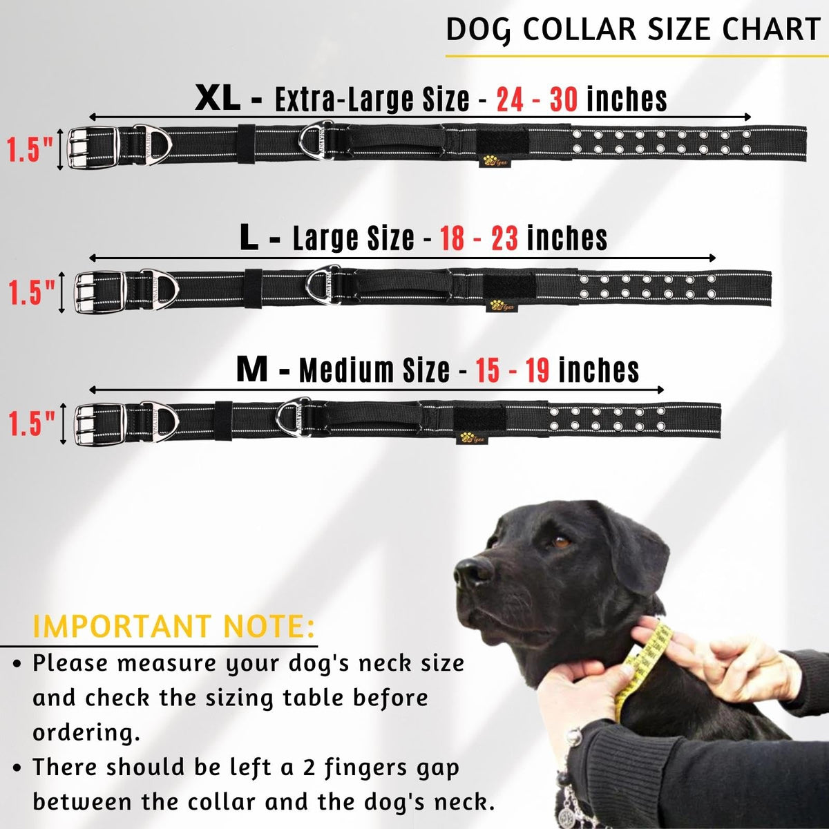 ADITYNA Animal Collar in Medium: Fit 15-19" Neck, Black
