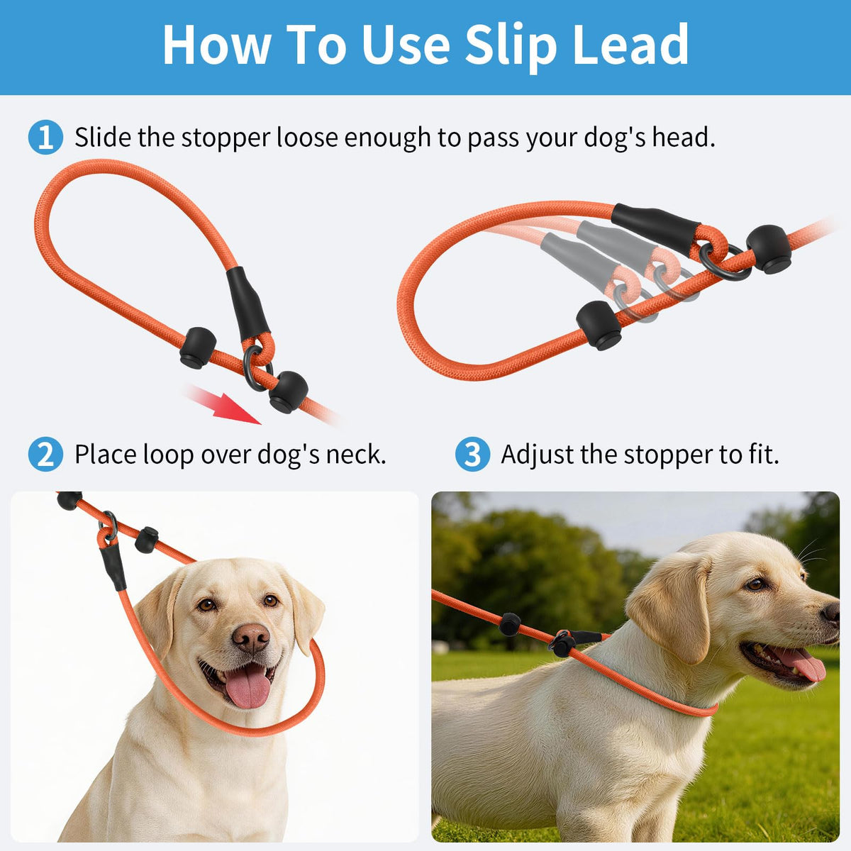 kazazoo Leash in 5.5ft to 8.5ft, Gradient Orange