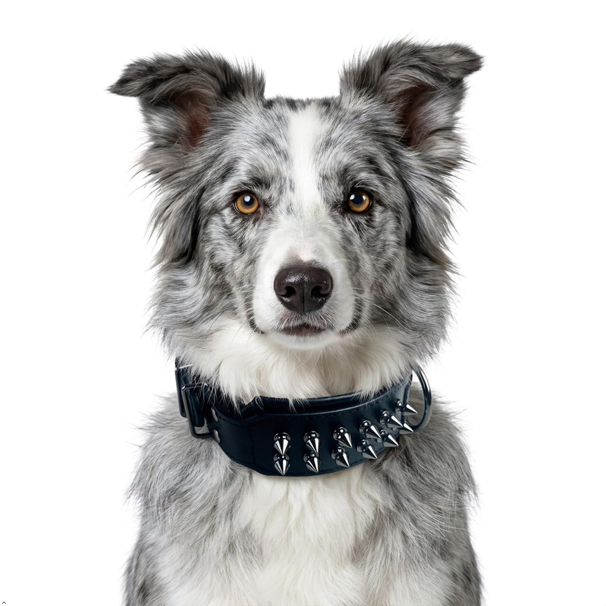 Molteriqo Animal Collar in L-neck 39-47cm, Black