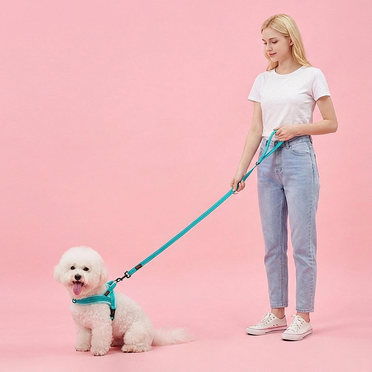 Didog Leash in 5/8''x 6 FT, Teal