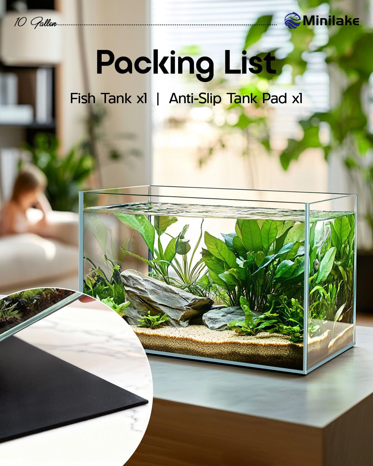 minilake Vivarium in 10 Gallon, Transparent