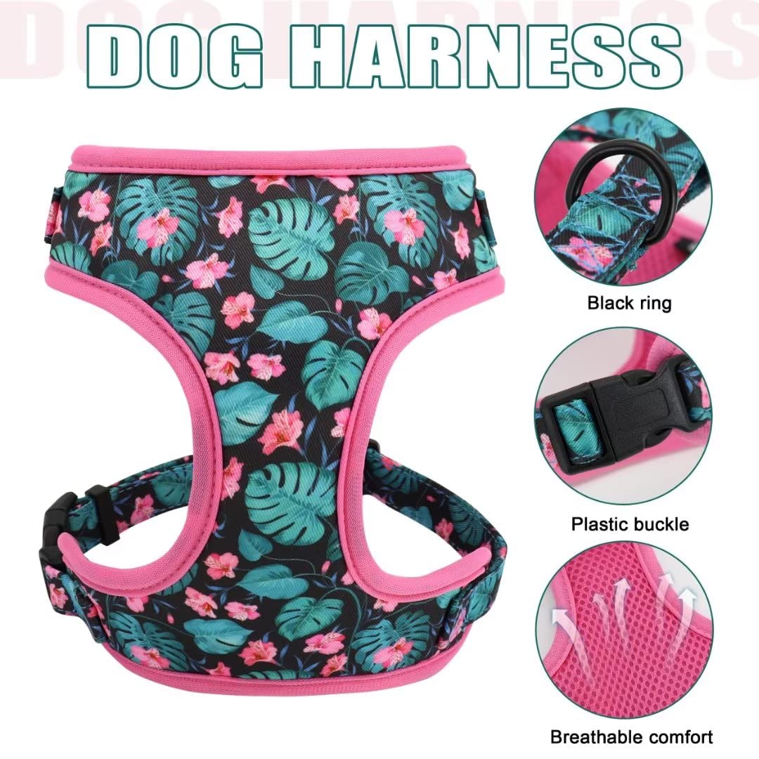 Beirui Animal Harness in XS:Fit 6-12 lbs, Green