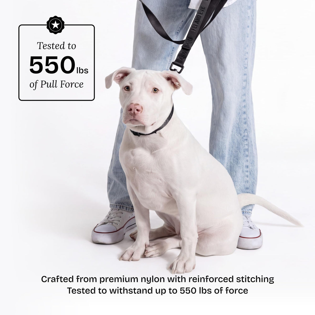 Fei and Eve Leash in 4FT, Black