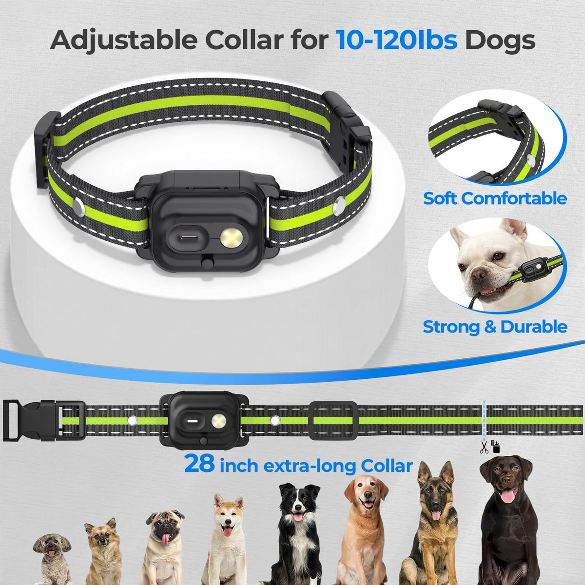 RPZ Animal Collar in 1 Receiver, Green