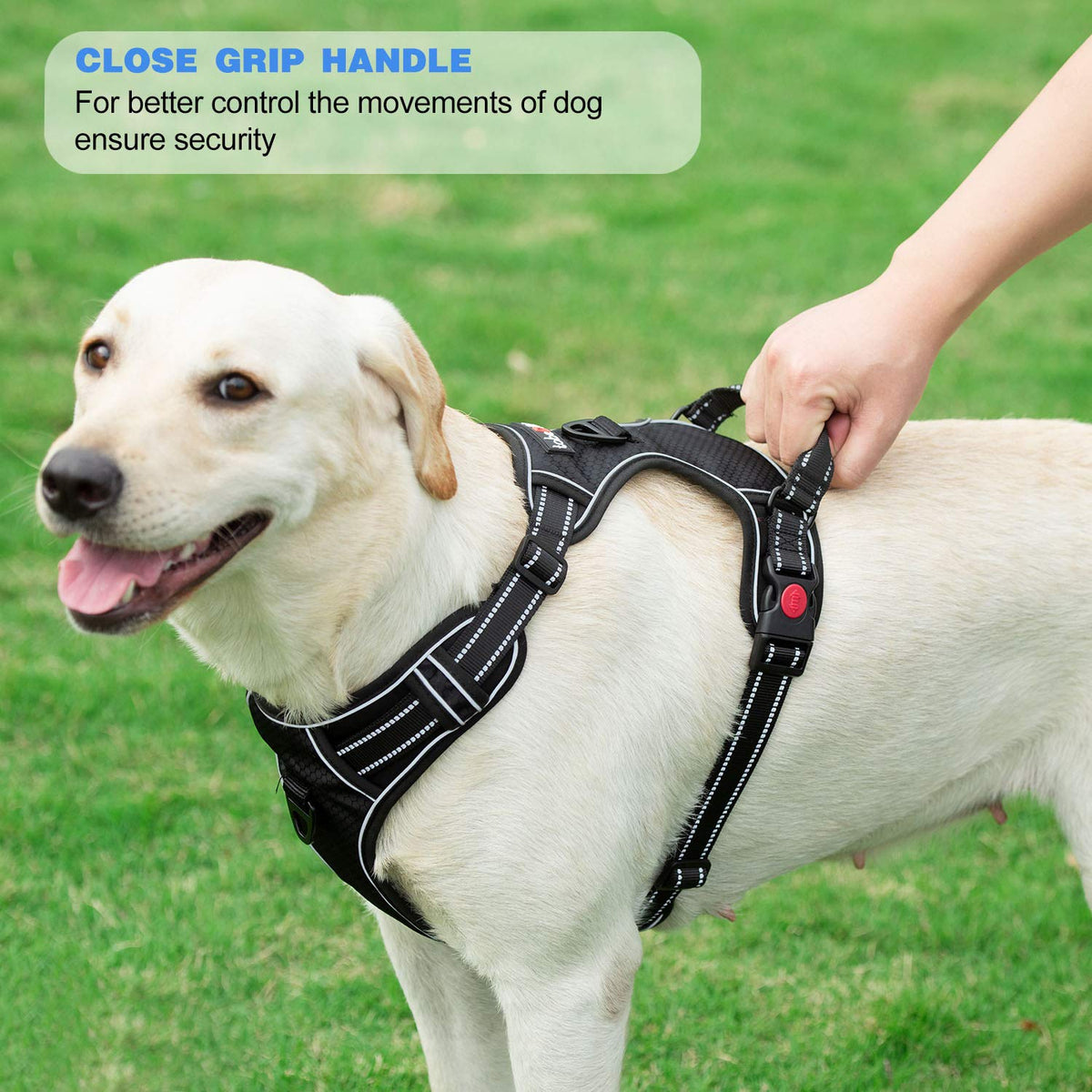 tobeDRI Animal Harness in Small, Black
