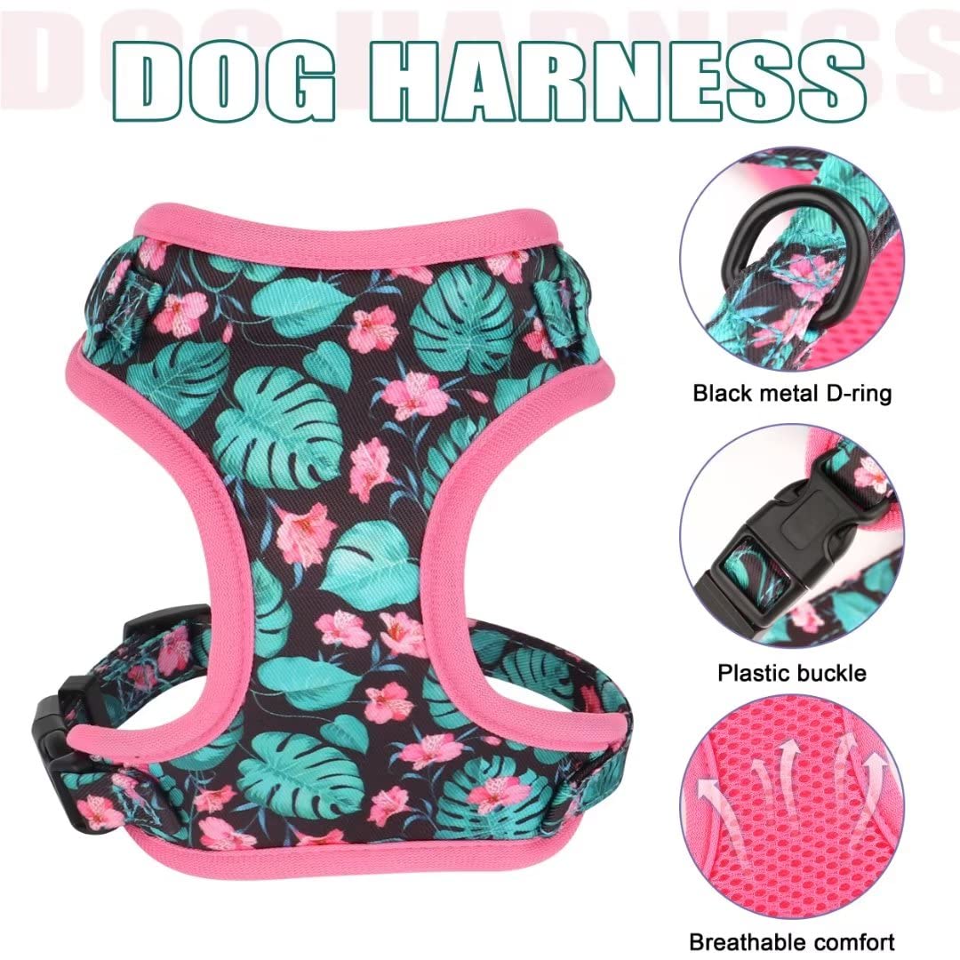 Beirui Animal Harness in XXS:Fit 2-6 lbs, Blue