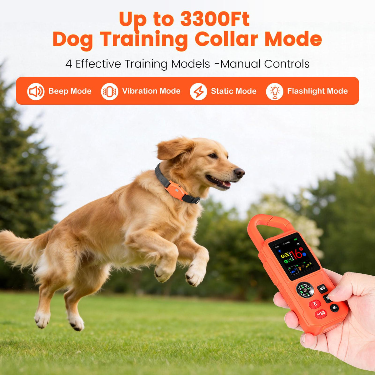 Pawton Animal Collar in Medium, Large, Orange for 1 Dog