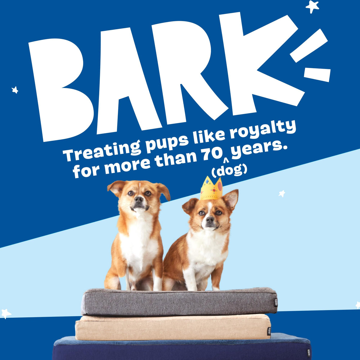 BarkBox Pet Bed Mat in Small, Grey