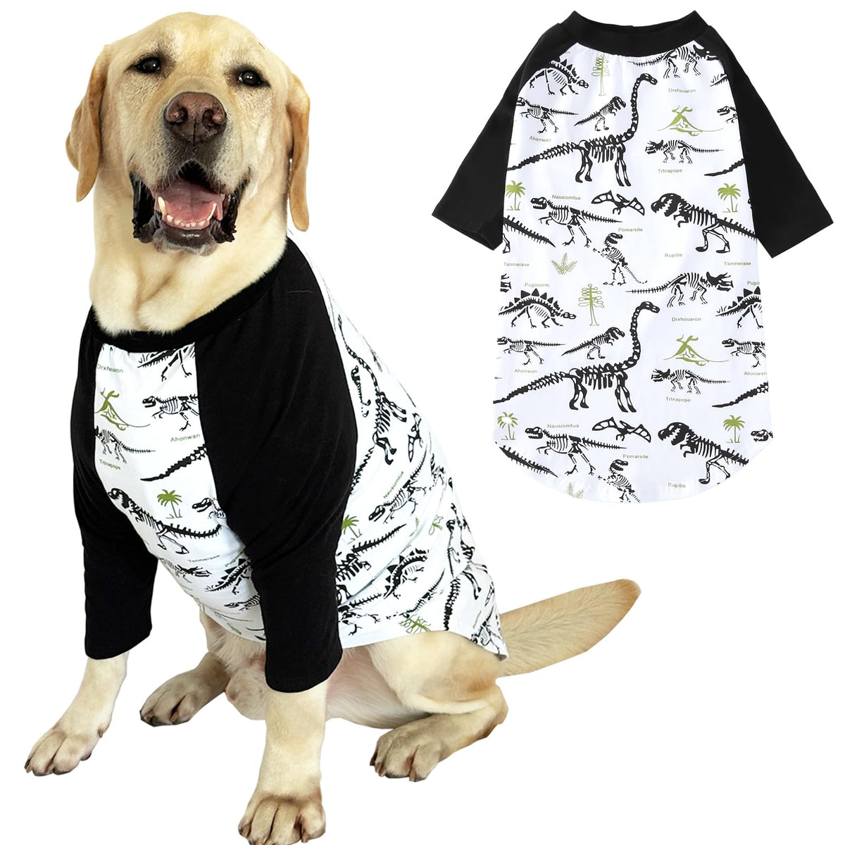 PriPre Pet Apparel in XX-Large, Black Dinosaur