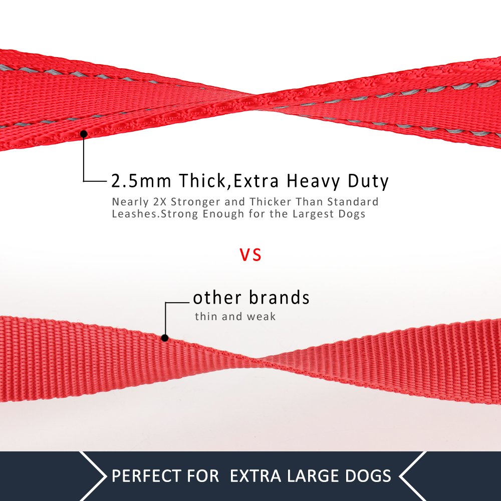 PLUTUS PET Leash in 4 FT, Red