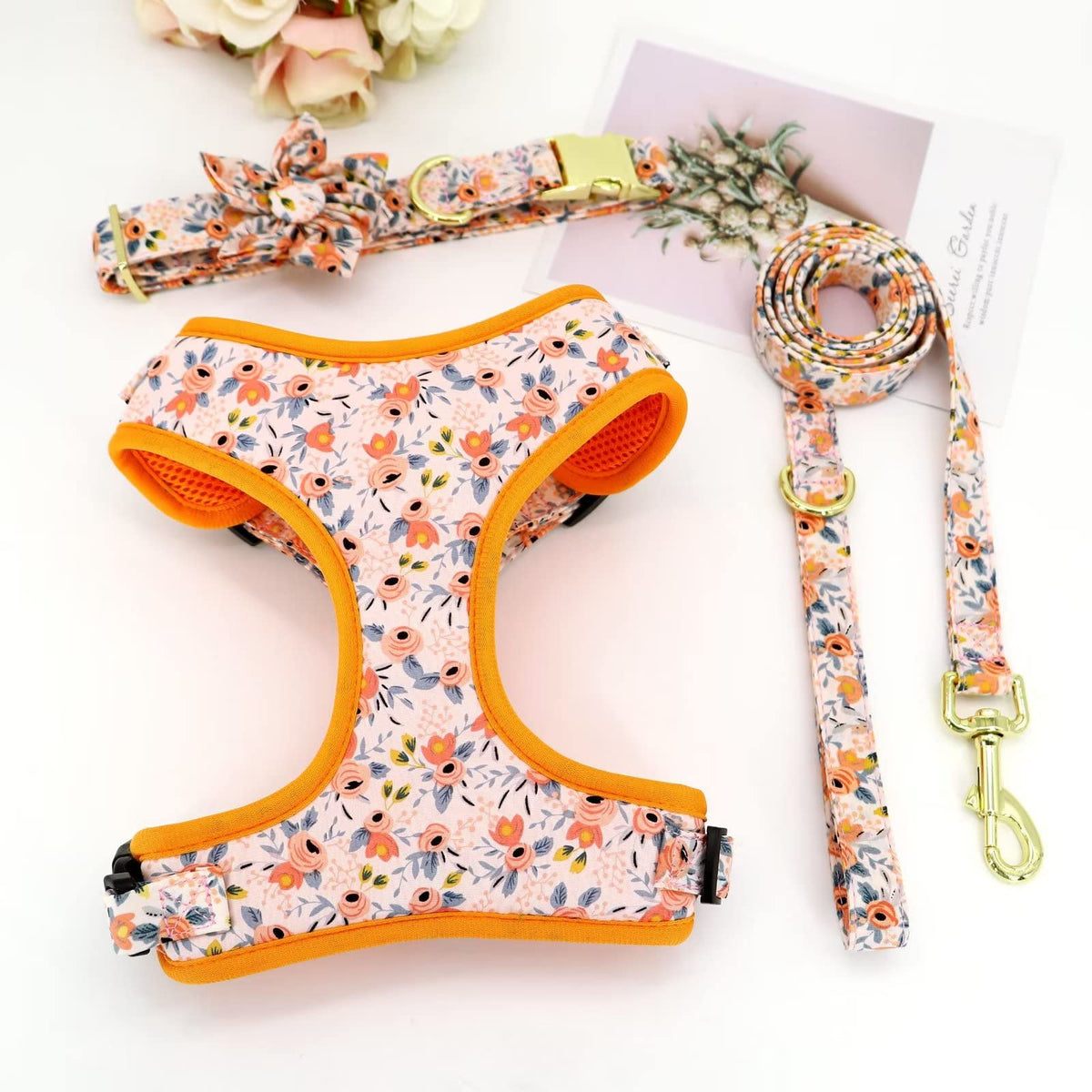 Beirui Animal Harness in S:Fit 12-20 lbs, Orange