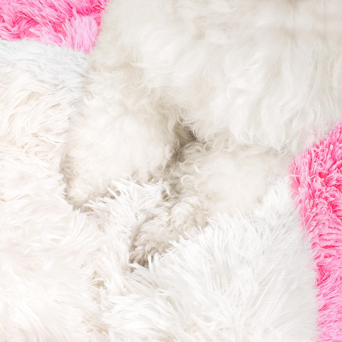 NOYAL Pet Bed Mat in X-Small 15.7'', Gradient Pink
