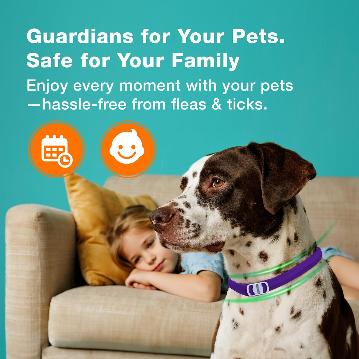 ZingZap Pet Pest Control in Purple