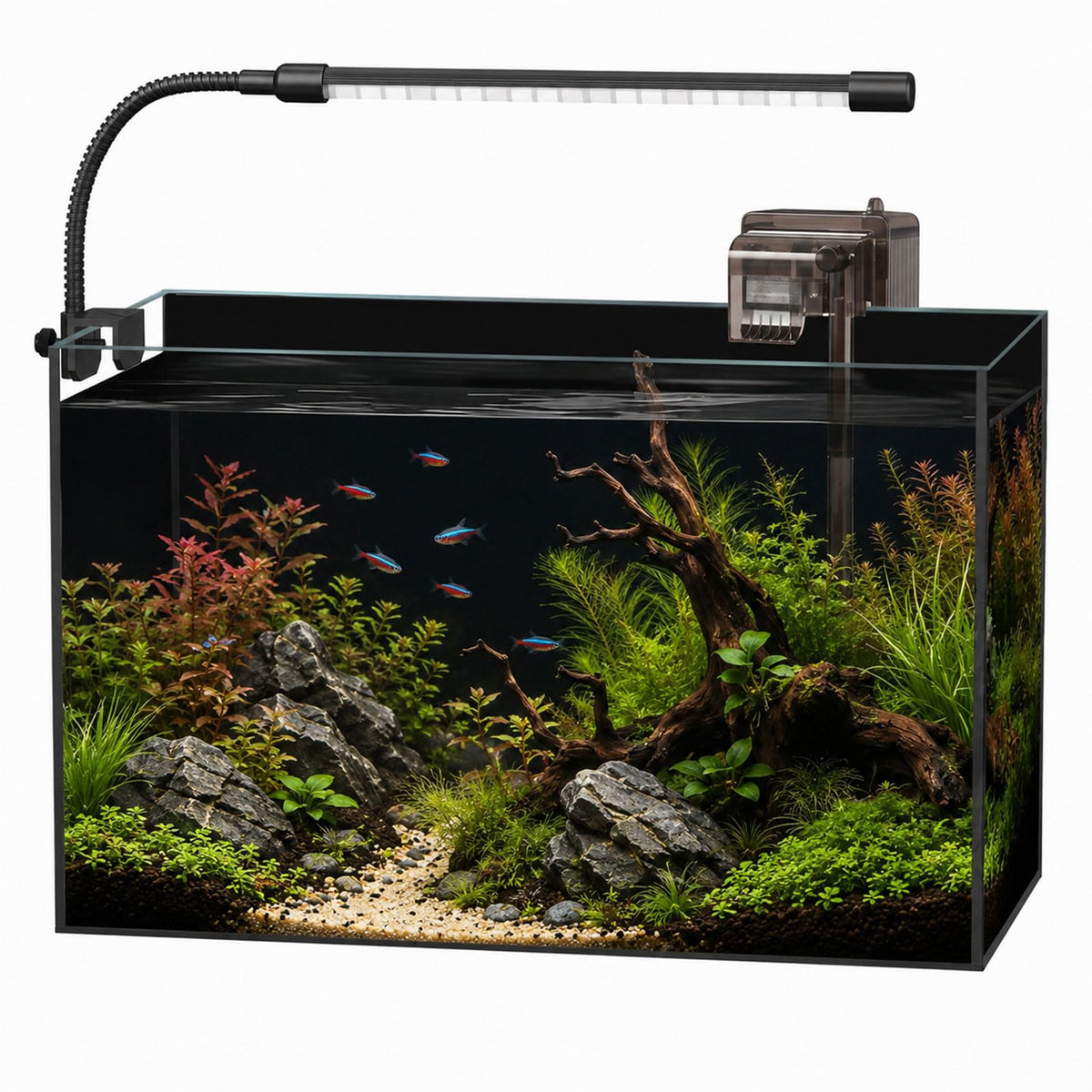 minilake Vivarium in 5 Gallon, Black