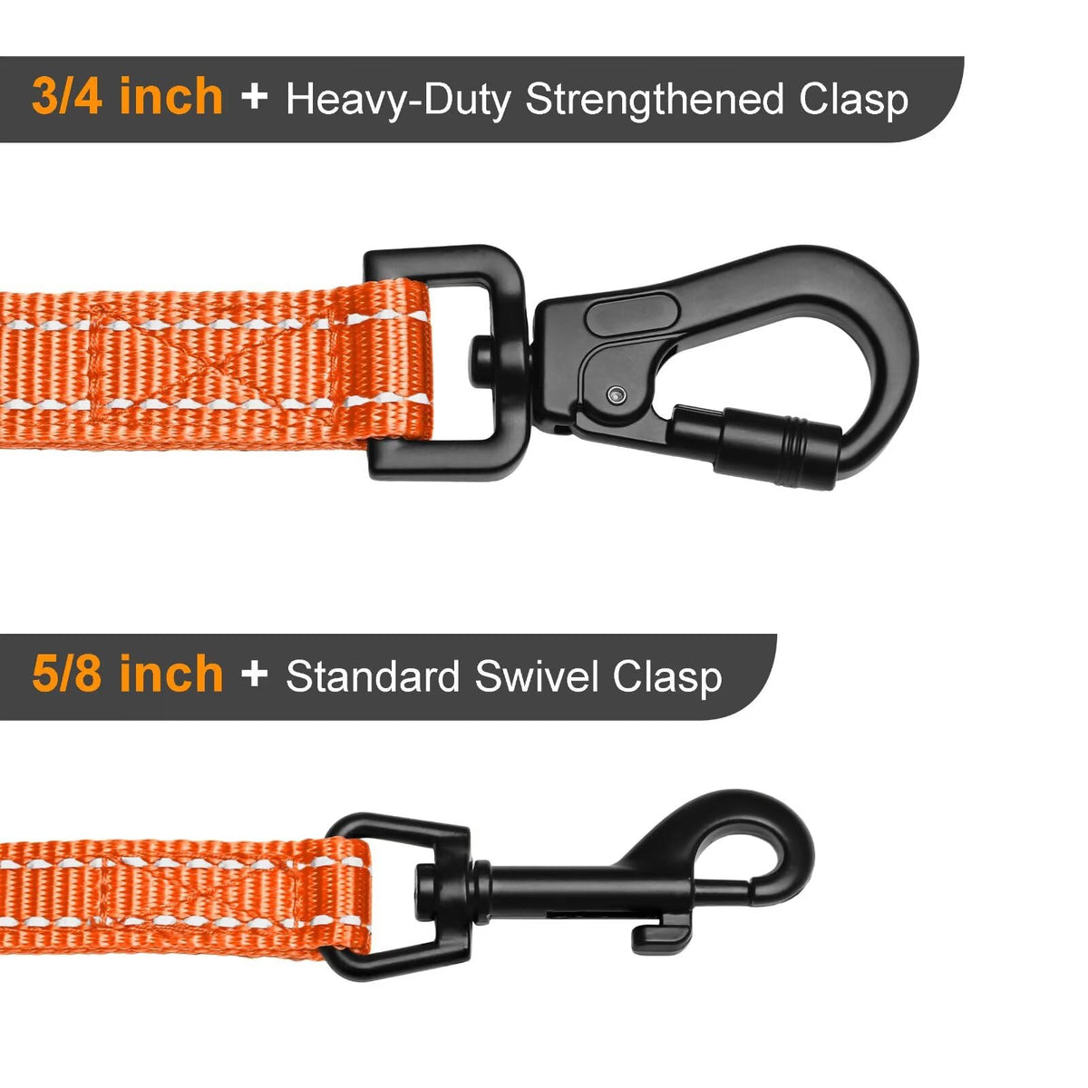 Didog Leash in 3/4''x 6 FT, Orange