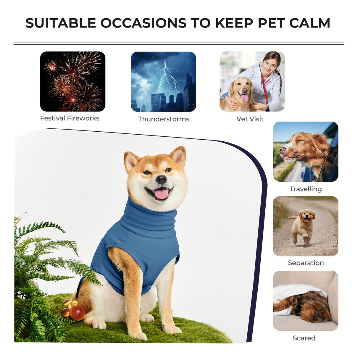 Haloumoning Pet Apparel in X-Small, Blue