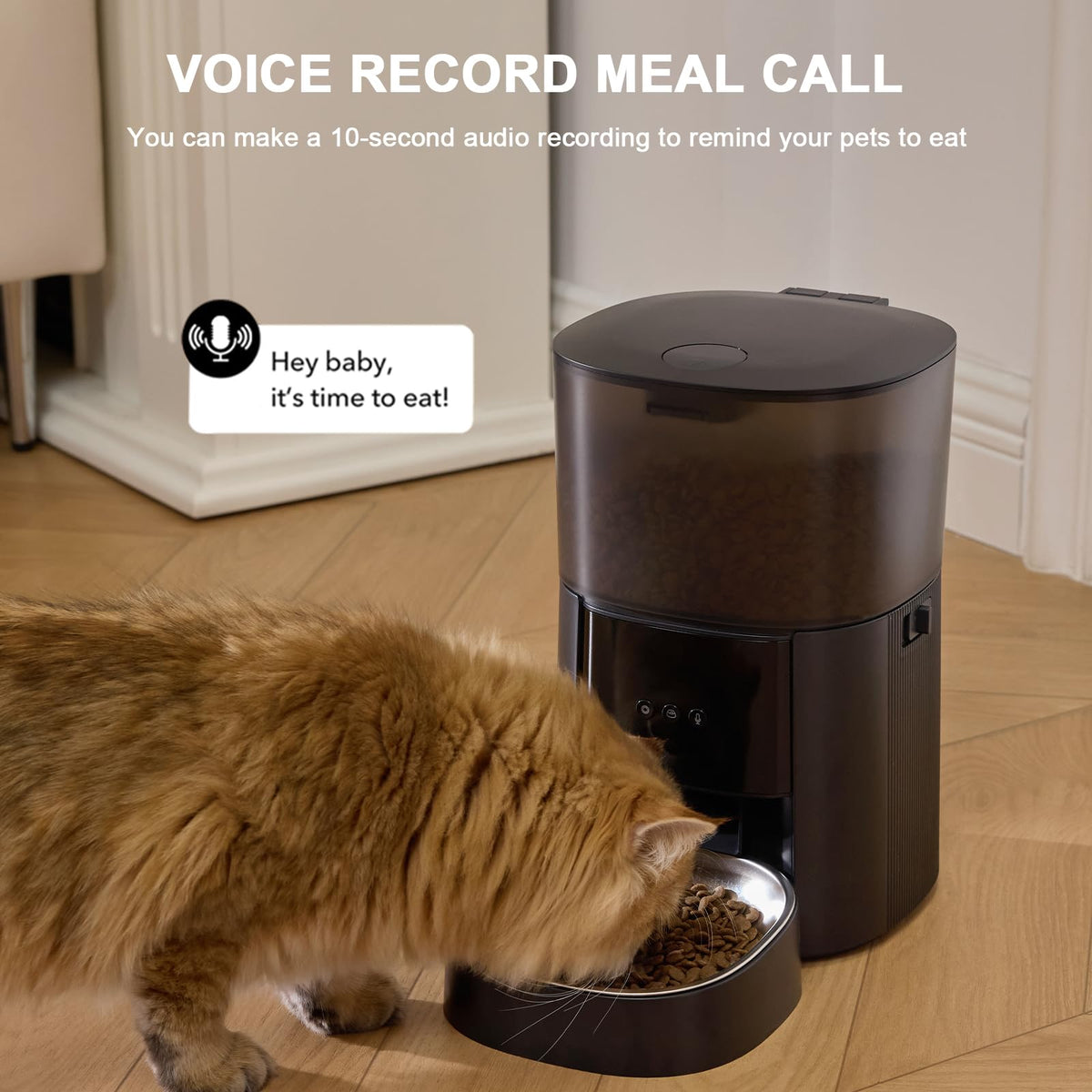 MZZ Pet Feeder in Black