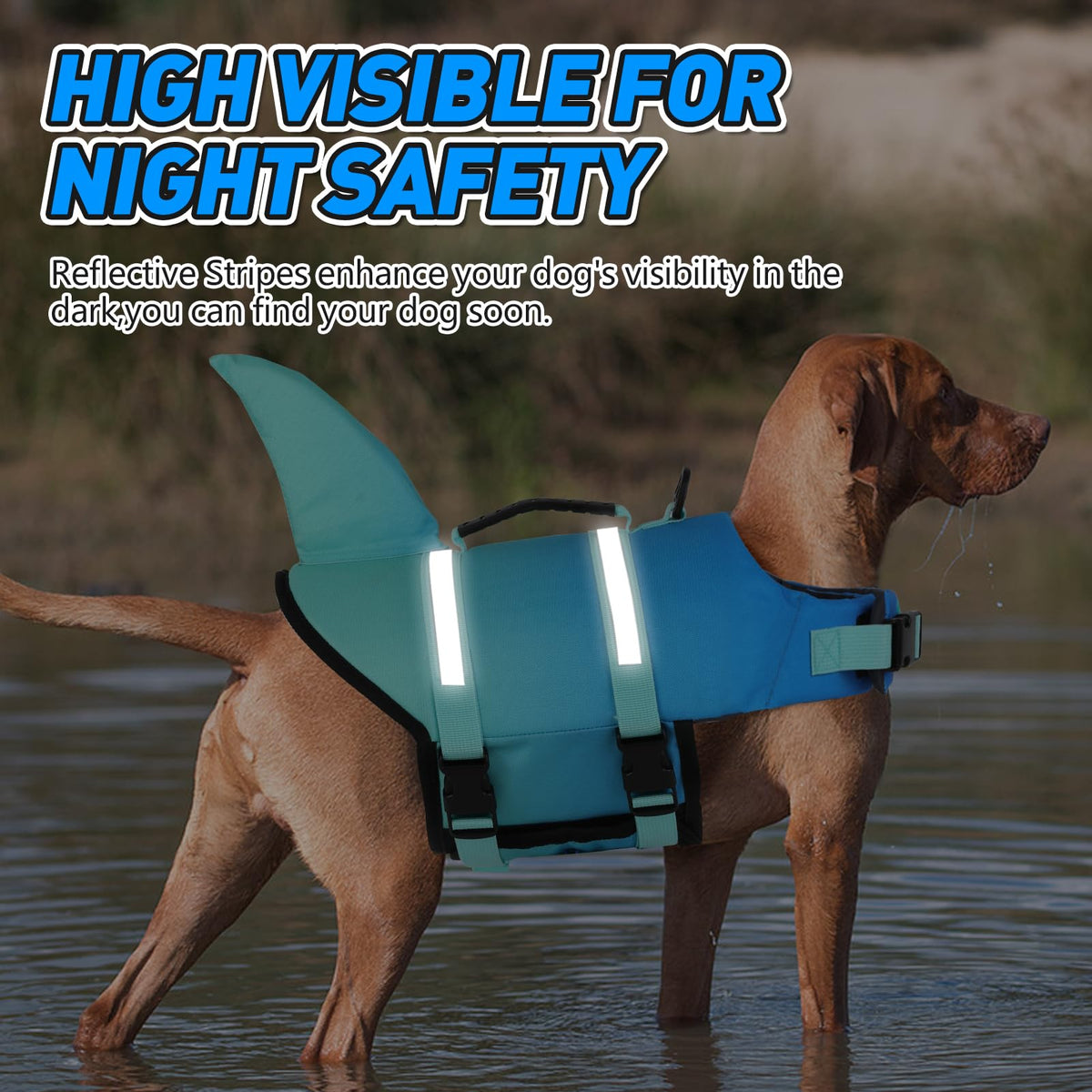 Doglay Pet Apparel in Medium, Gradient Blue