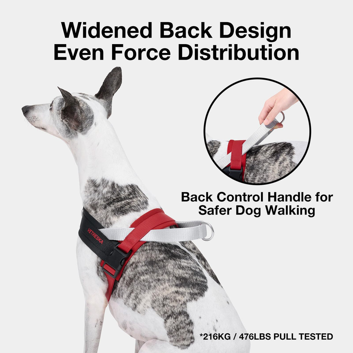 VETRESKA Animal Harness in XS(Chest: 16.9"-22"), Circuit