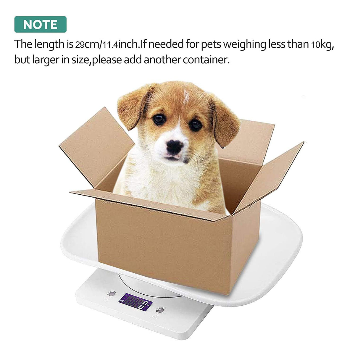 DWSFADA Weigh Scale in 11.42x7.09x1.57 Inch (Pack of 1), 22 lb Scale