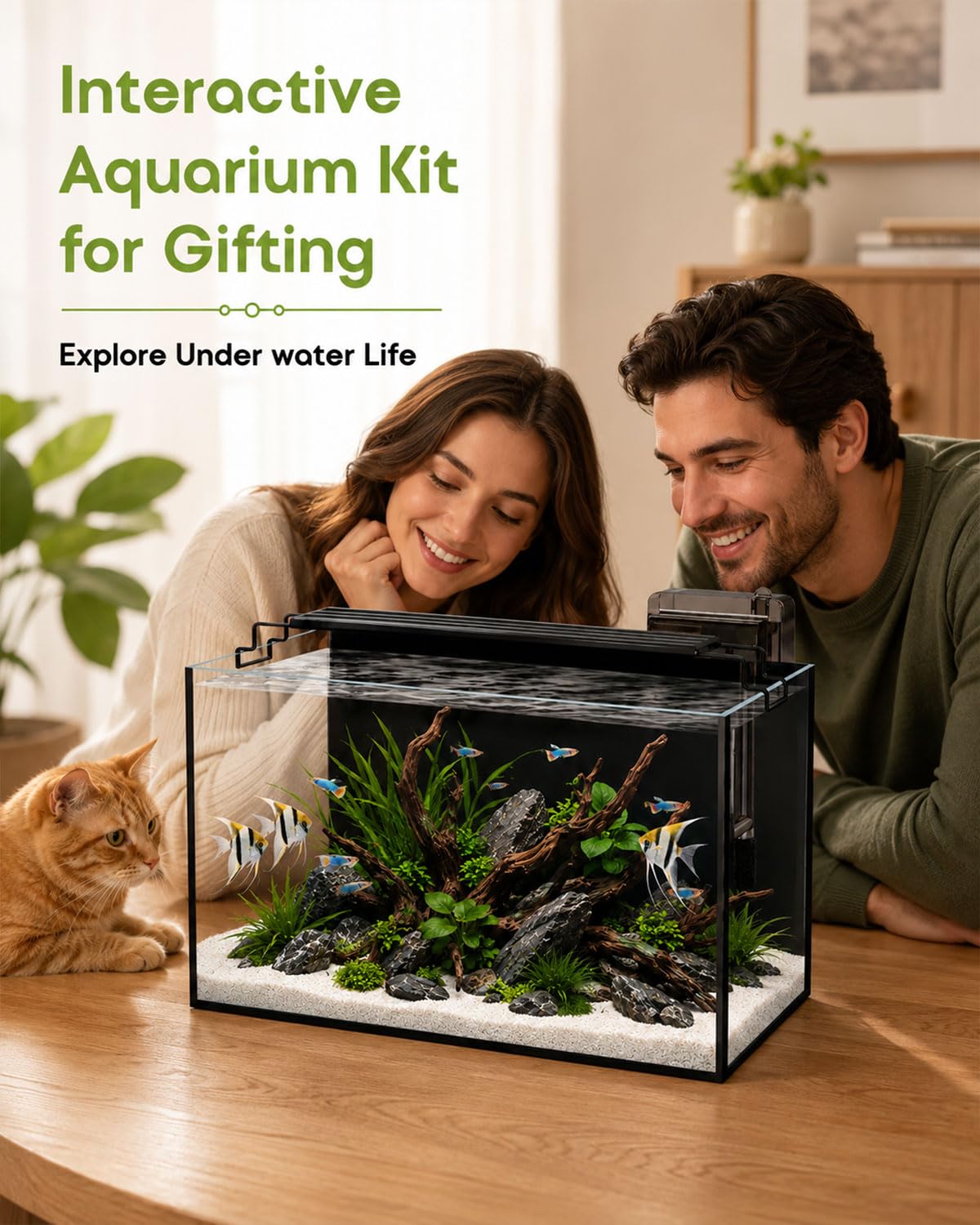 minilake Vivarium in 10 Gallon, Black