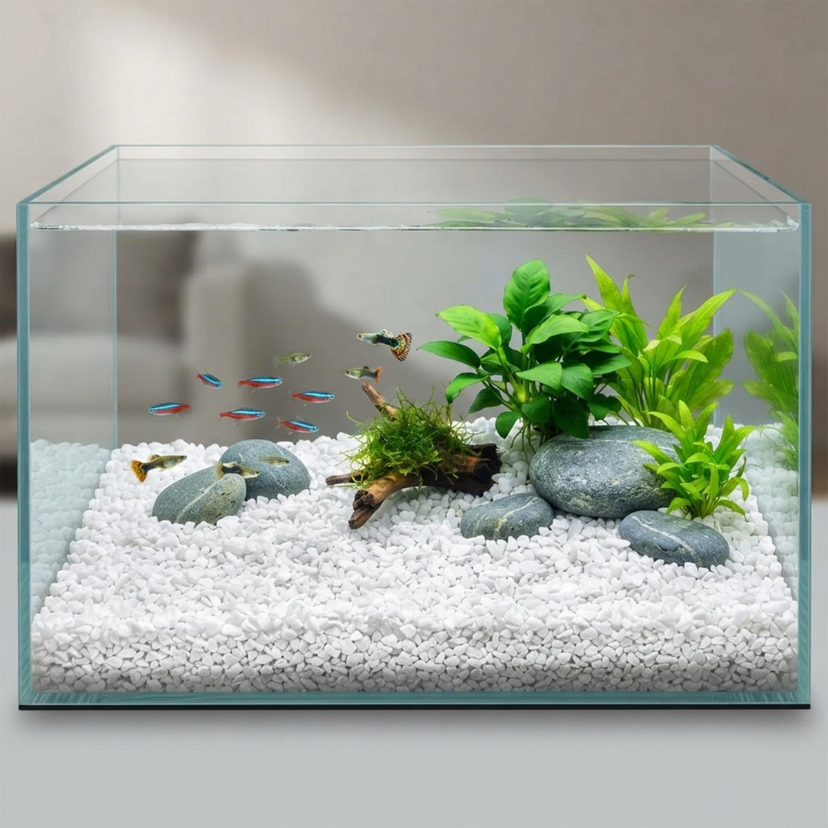 HappyFiller Outdoor Living in 6-9 mm, White/0.3 In
