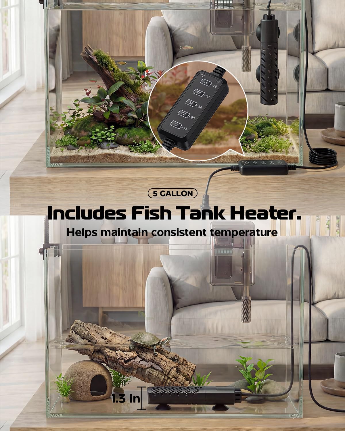 minilake Vivarium in 5 Gallon, Transparent