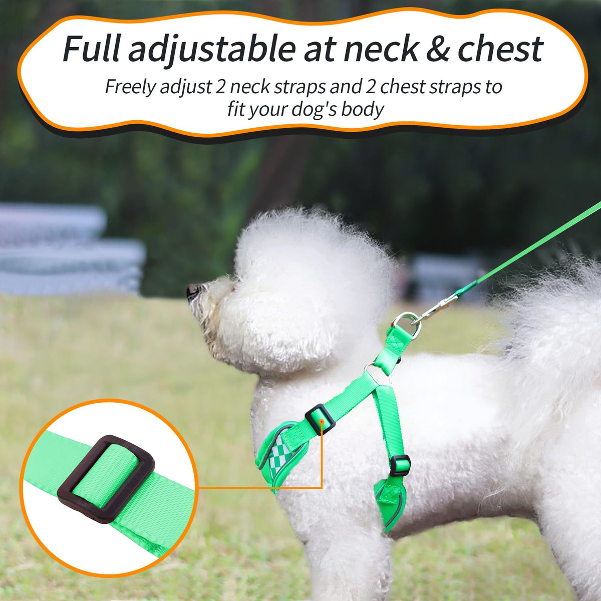 SAEGYPET Animal Harness in XS, Green (denim)