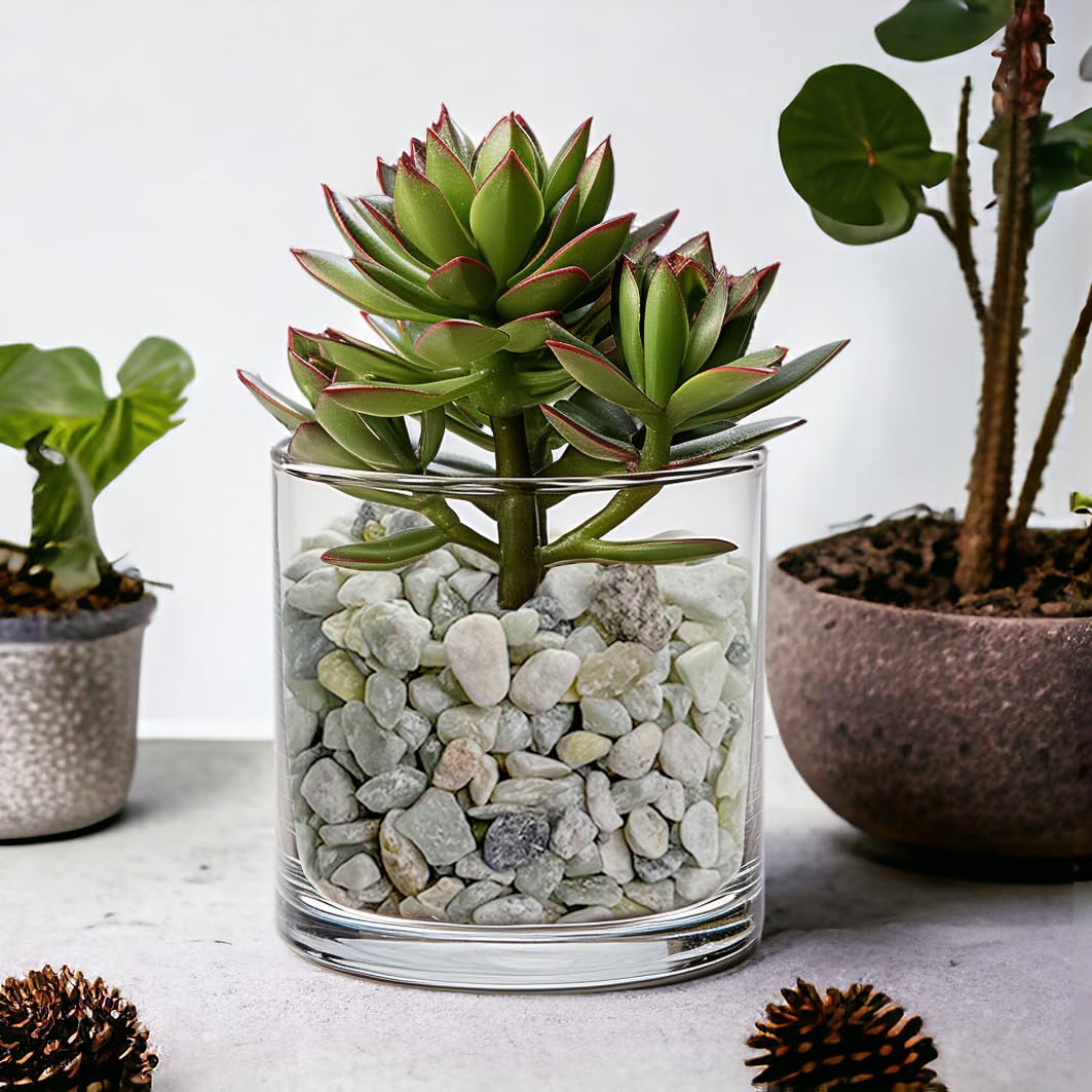 HappyFiller Outdoor Living in 0.8-1.2 cm, Light Green/0.8-1.2CM