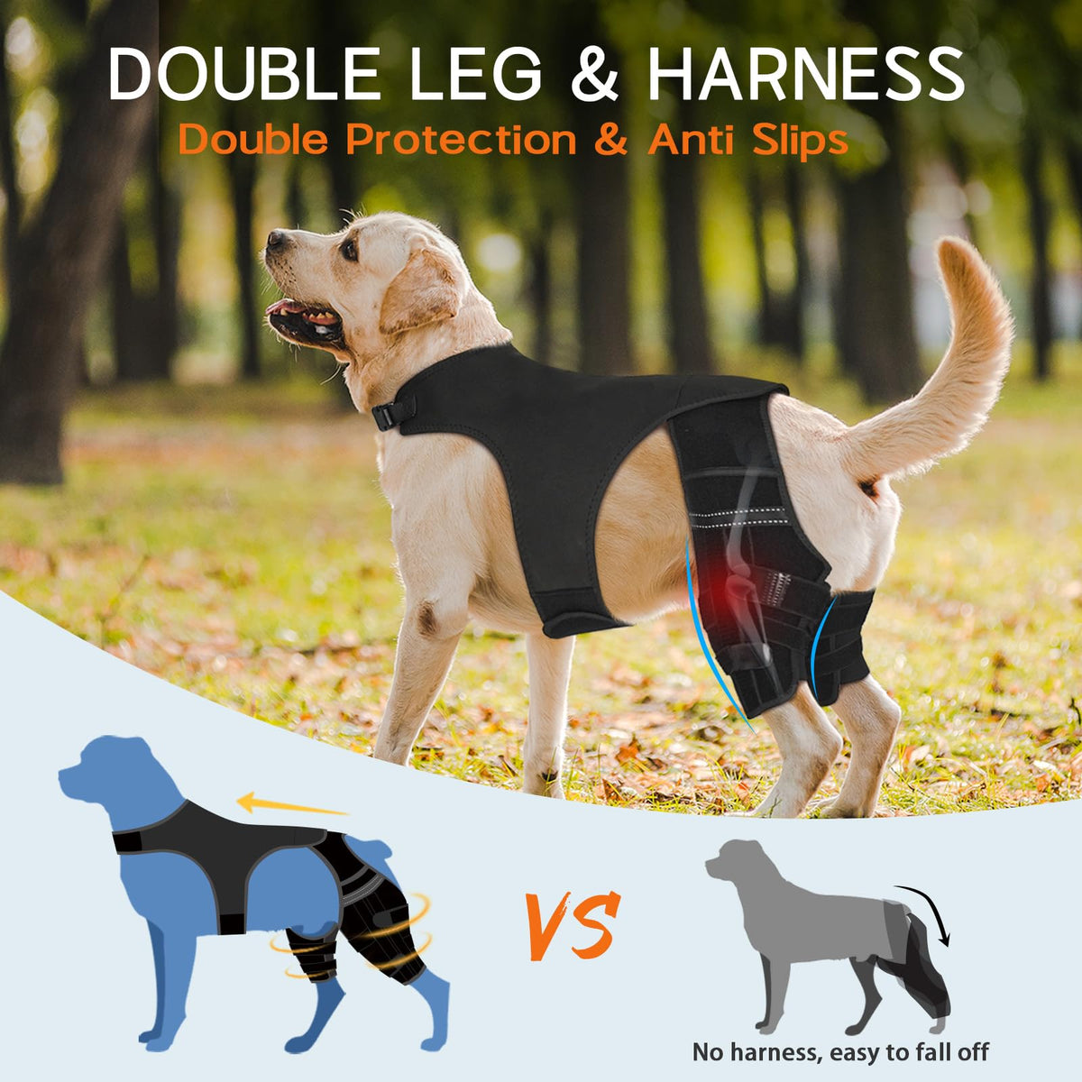 Marnonsis Pet Supplies in XL, Black