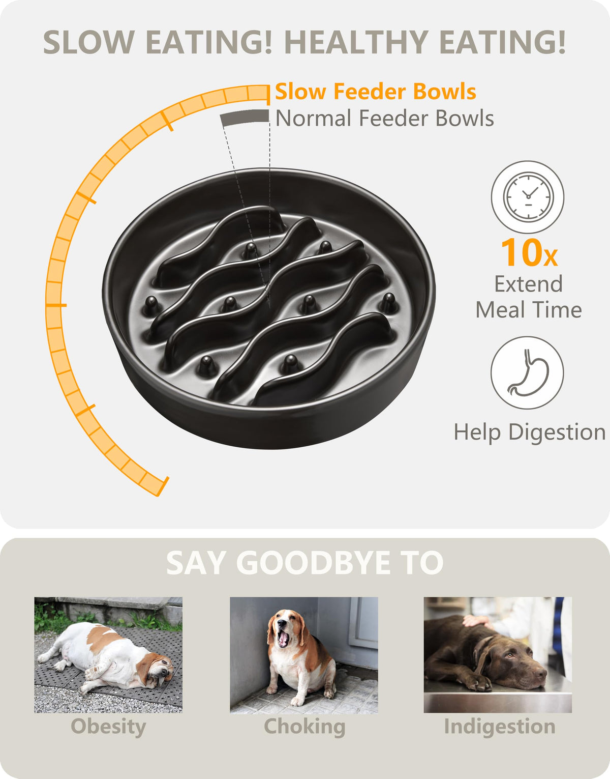 MOPANG Pet Feeder in 8 Inches, Black