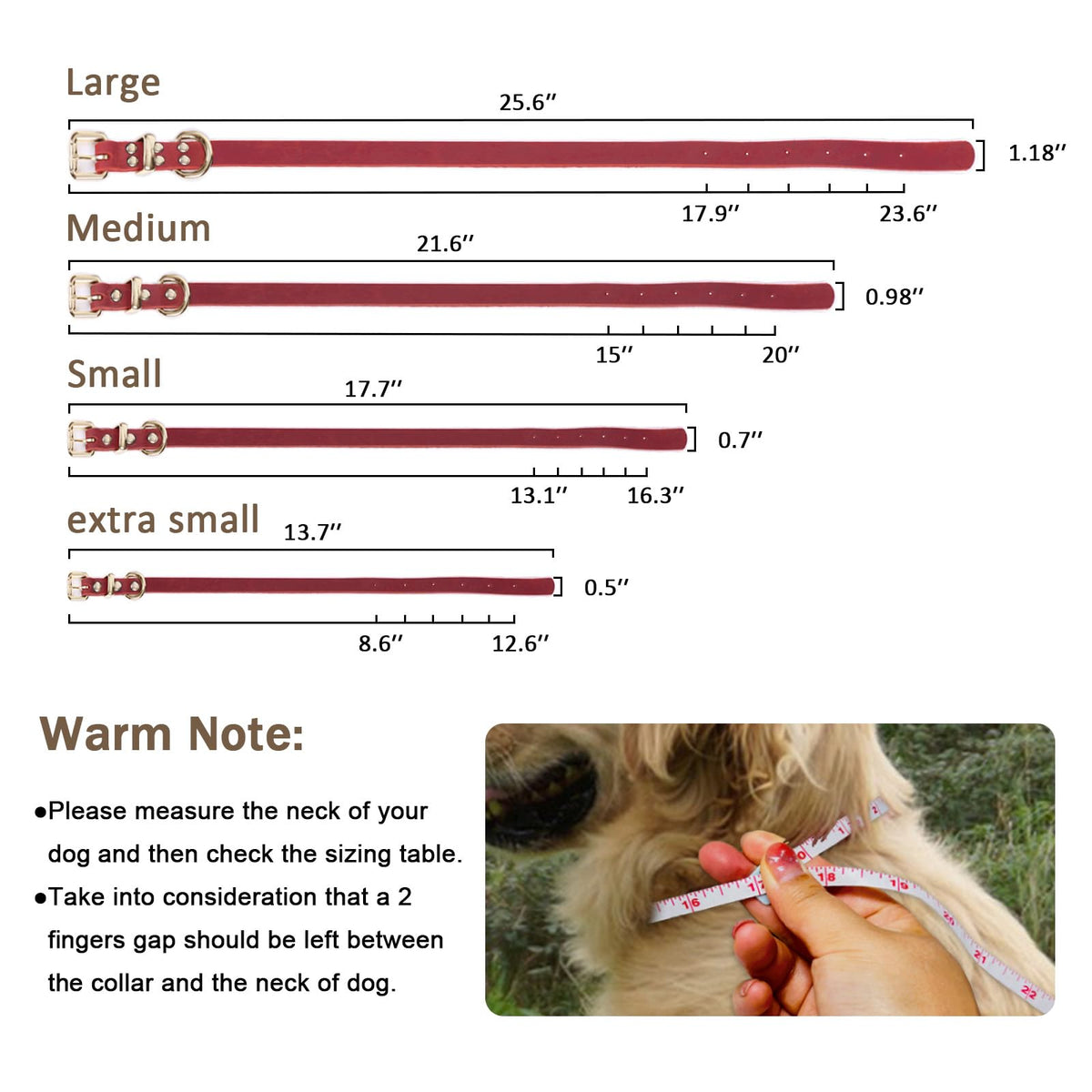 Guiding Star Leash in X-Small, Red
