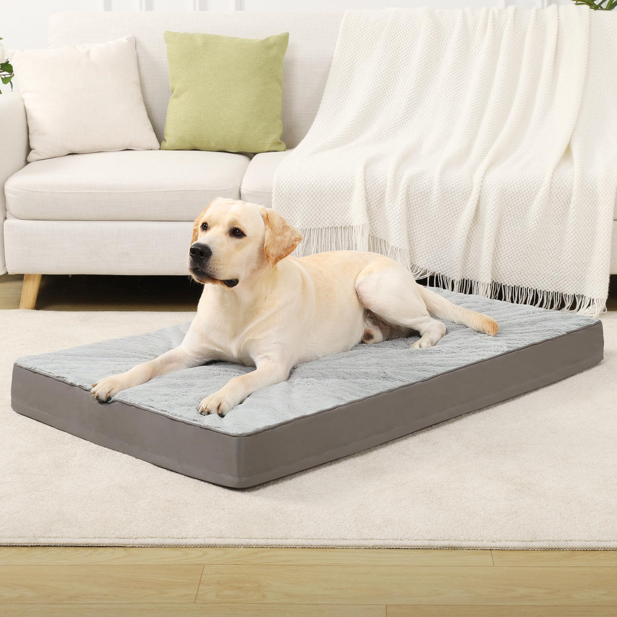 KSIIA Pet Bed Mat in 44.0"L x 32.0"W x 4.0"Th, Light Grey