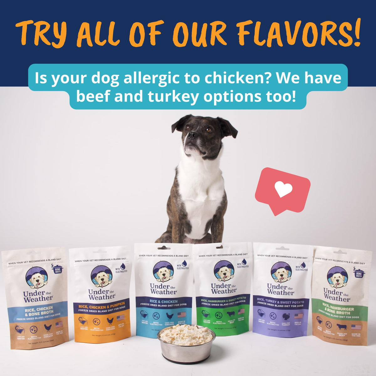 Under the Weather Pet Food in 6 Ounce (Pack of 1)